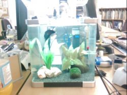 Full_Tank.JPG Full_Tank.JPG