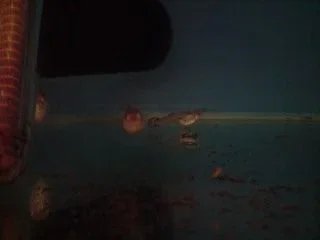 P110908_22.31_02_.webp