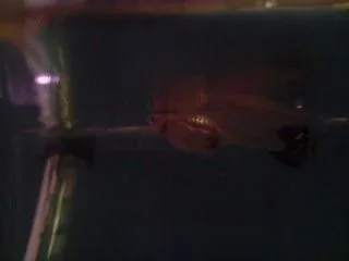 P110908_23.17_03_.webp