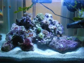 DSCF1526.webp