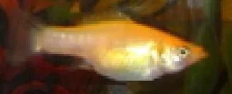ScreenHunter_3.webp