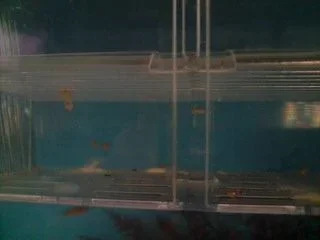 P130908_08.43.webp