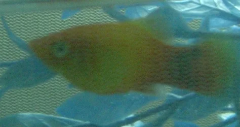 DSCN2325.webp