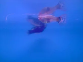 P270808_08.18.webp