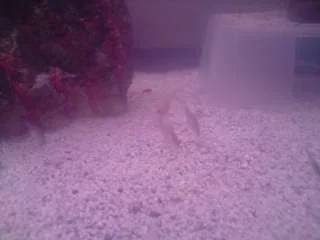 P270808_21.31.webp