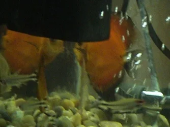 DSC00020.webp