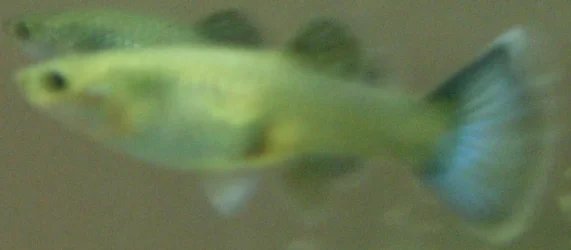 RSCN2347.webp RSCN2347.webp