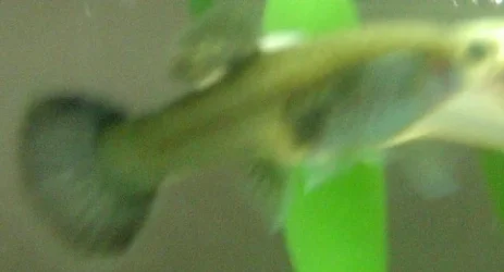 RSCN2354.webp RSCN2354.webp
