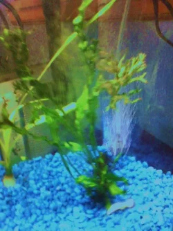 DSC00016.webp