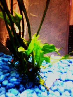 DSC00019.webp