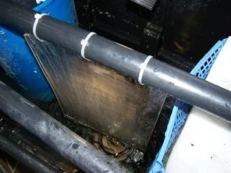 turf_scrubber_2.webp