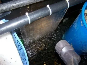 turf_scrubber_3.webp
