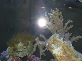 005.webp