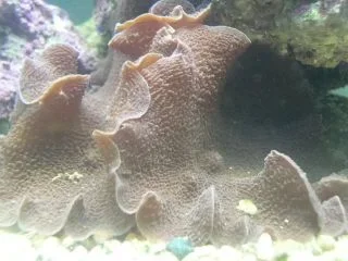 DSCN2442.webp