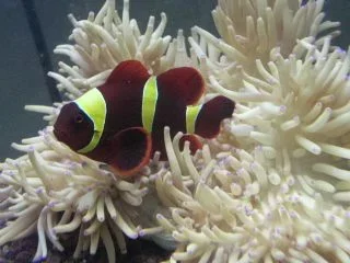 DSCN2447.webp