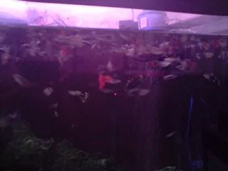 P240908_20.23_01_.webp