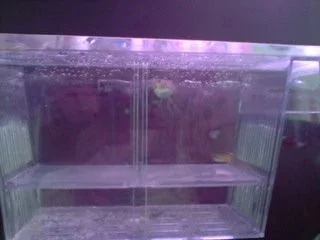 P280908_10.21.webp