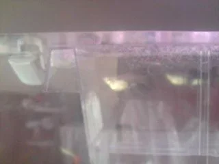 P280908_11.40.webp