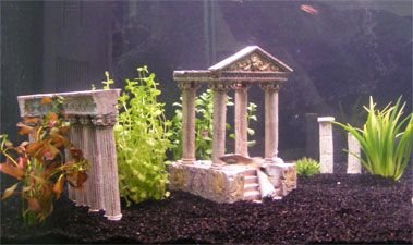 DSCF1631.JPG