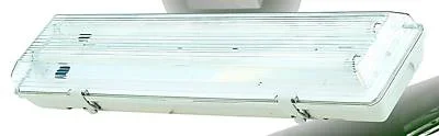 FLUORESCENT_LIGHT_FITTING.webp