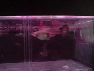 P041008_09.25.webp