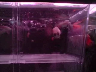 P041008_14.39_01_.webp