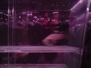 P041008_14.39.webp