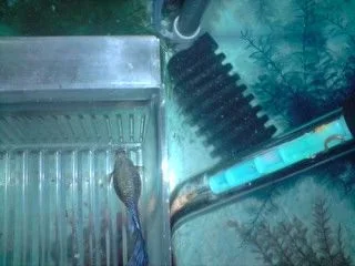 P111008_20.36_03_.webp