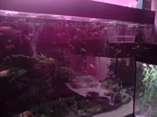 P111008_21.18.webp