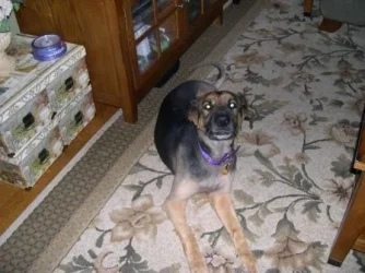 DSCN3263.webp
