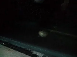 P111008_16.41.webp