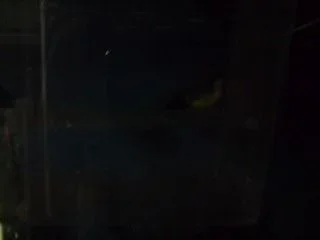 P111008_20.52.webp