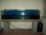 th_101_0427.webp
