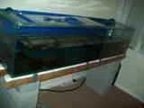 th_101_0430.webp
