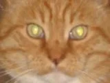 Kaspar.webp