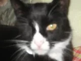 clarence.webp