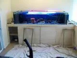 th_101_0488.webp