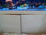 th_101_0492.jpg
