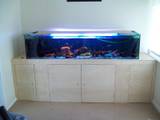 th_101_0528.jpg