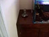 th_101_0540.webp