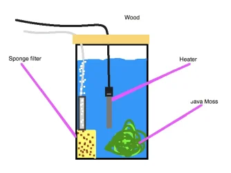 Bucket_hatchery.webp