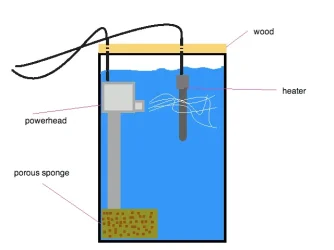 Bucket_tank.webp