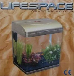 lifesp1.webp