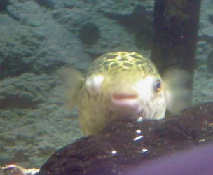 Photo_0010.webp