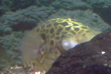 Photo_0011.webp