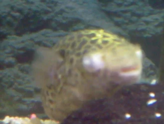 Photo_0012.webp
