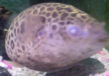 Photo_0020.webp