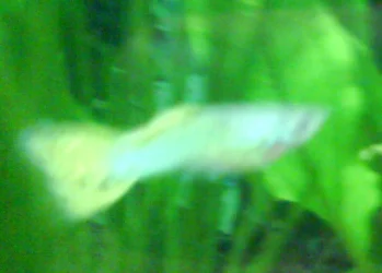 DSC00539.webp