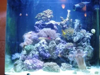020.webp