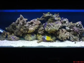 fts50.webp